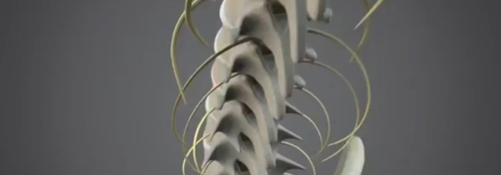 Chiropractic Kingston WA Spinal Decompression and Chiropractic Care